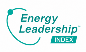 energy-leadership-index-logo turkus